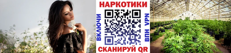 Хочу наркоту Лермонтов АМФЕТАМИН  Галлюциногенные грибы  Гашиш  A PVP  Меф 