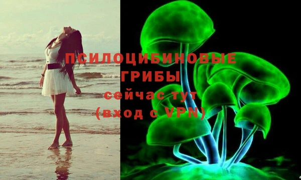 марки lsd Алексеевка